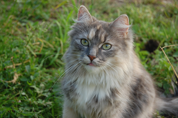bitte noch nicht rein gehen.jpg
